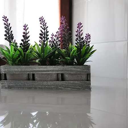 Llugaron I Venkovský dům